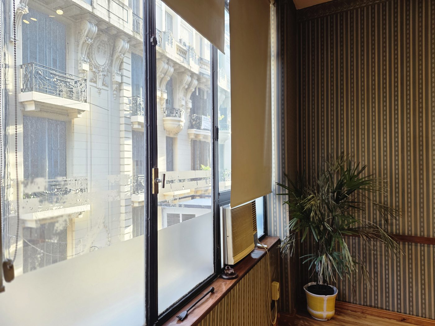 A Belle Epoque Buenos Aires facade seen from the office window